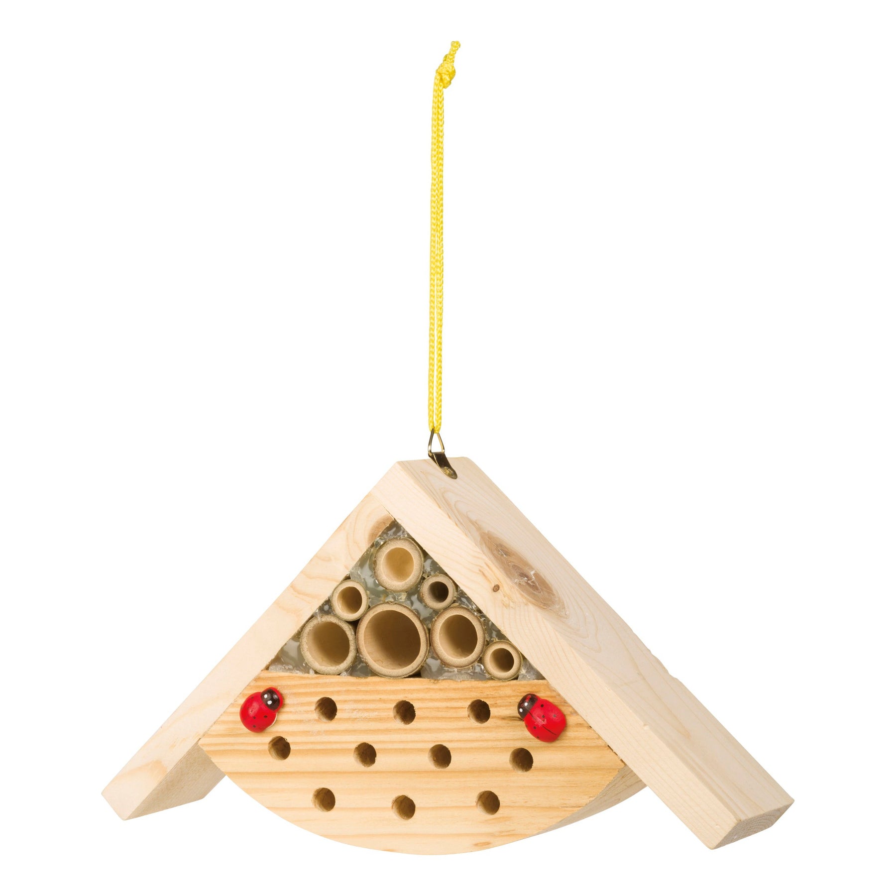 Beetle & Bee Garden Paint A Bug Abode