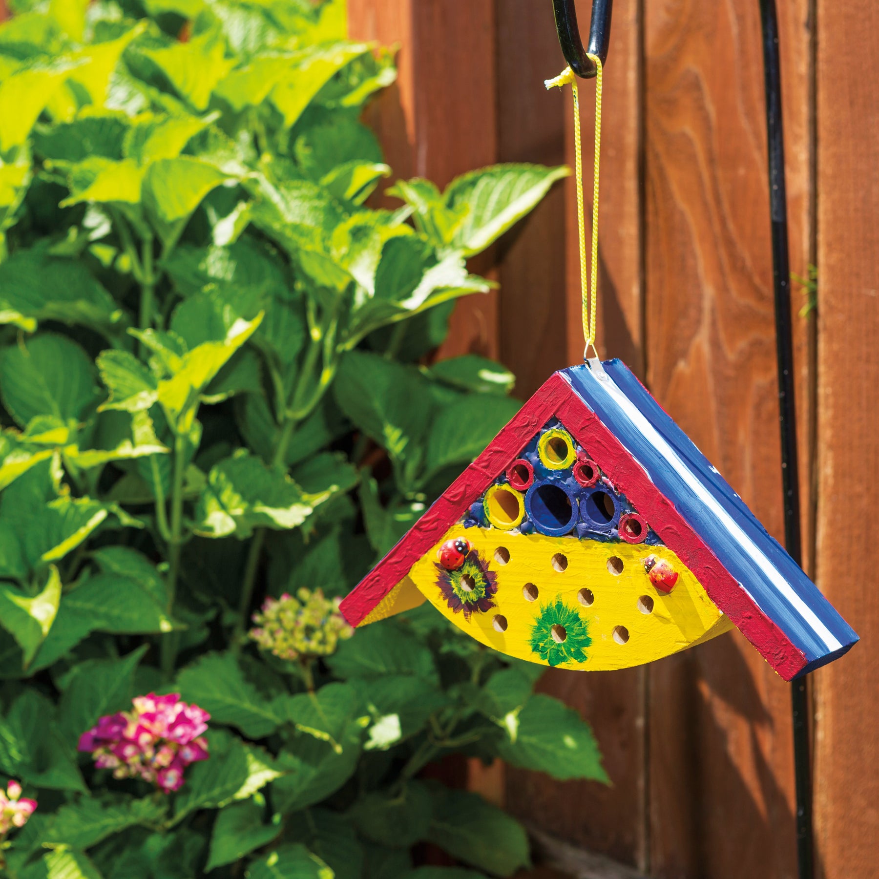 Beetle & Bee Garden Paint A Bug Abode