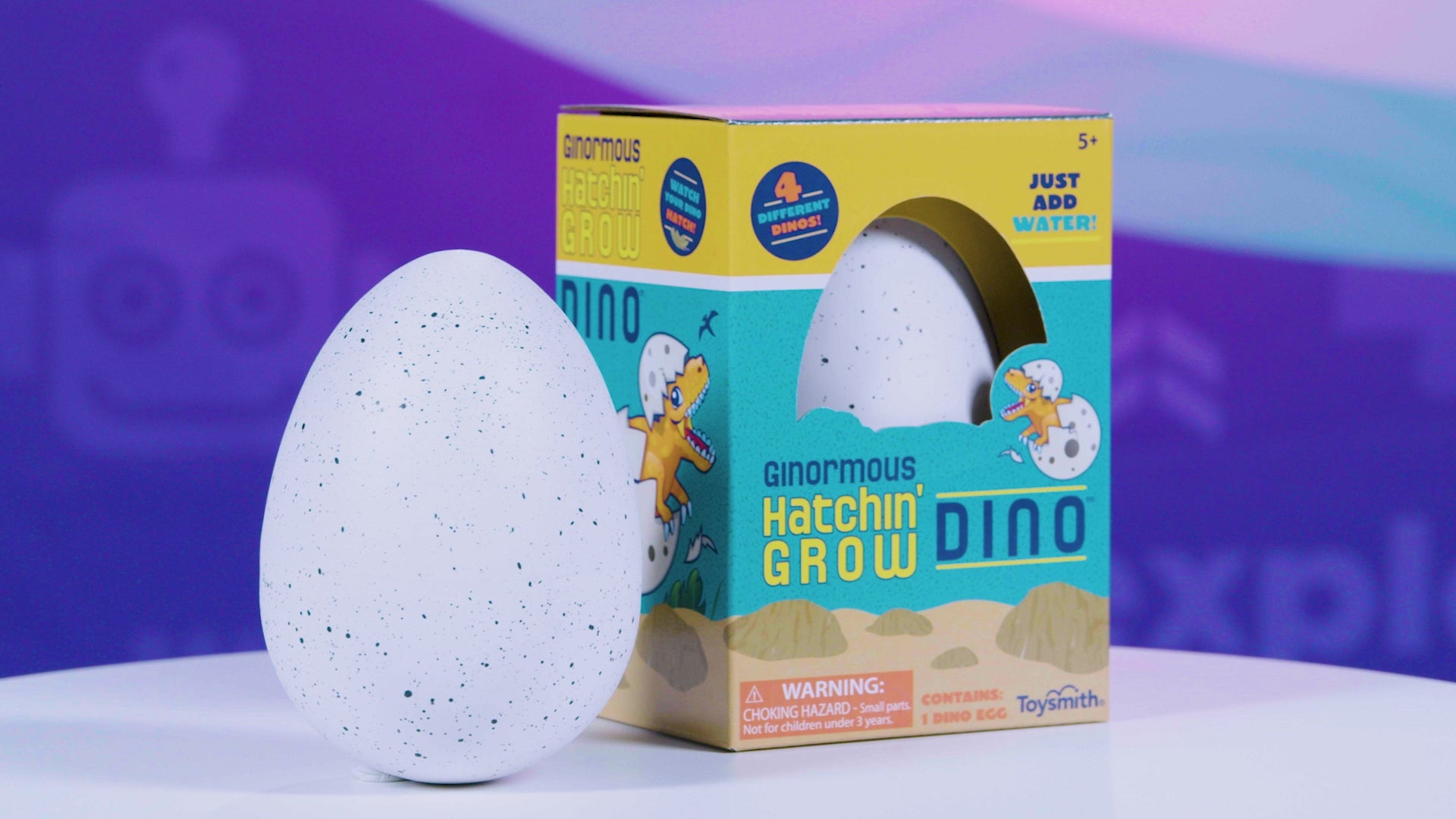 Load video: Toysmith Ginormous Hatchin' Grow Dino Egg