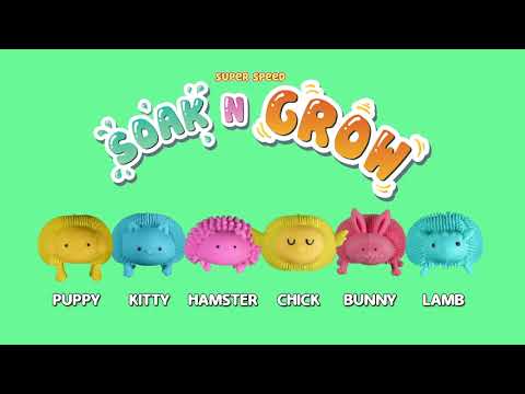 Load video: