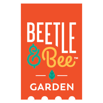 Beetle & Bee Garden