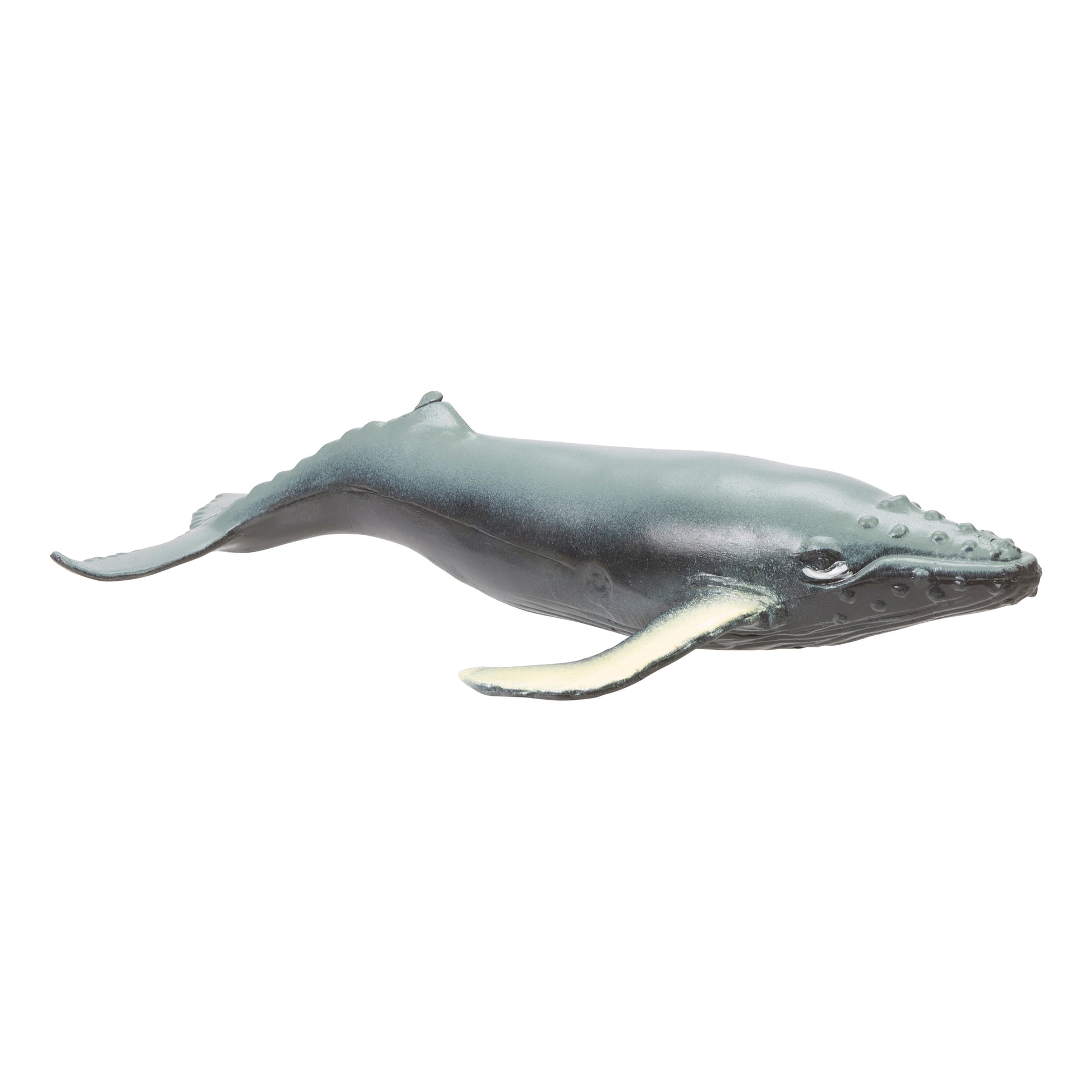 The Toysmith Sea Life Squishimal by Toysmith features a realistic humpback whale with a dark gray body, textured skin, and white fins—ideal for sensory play or as part of your fidget toy collection, displayed on a plain white background.