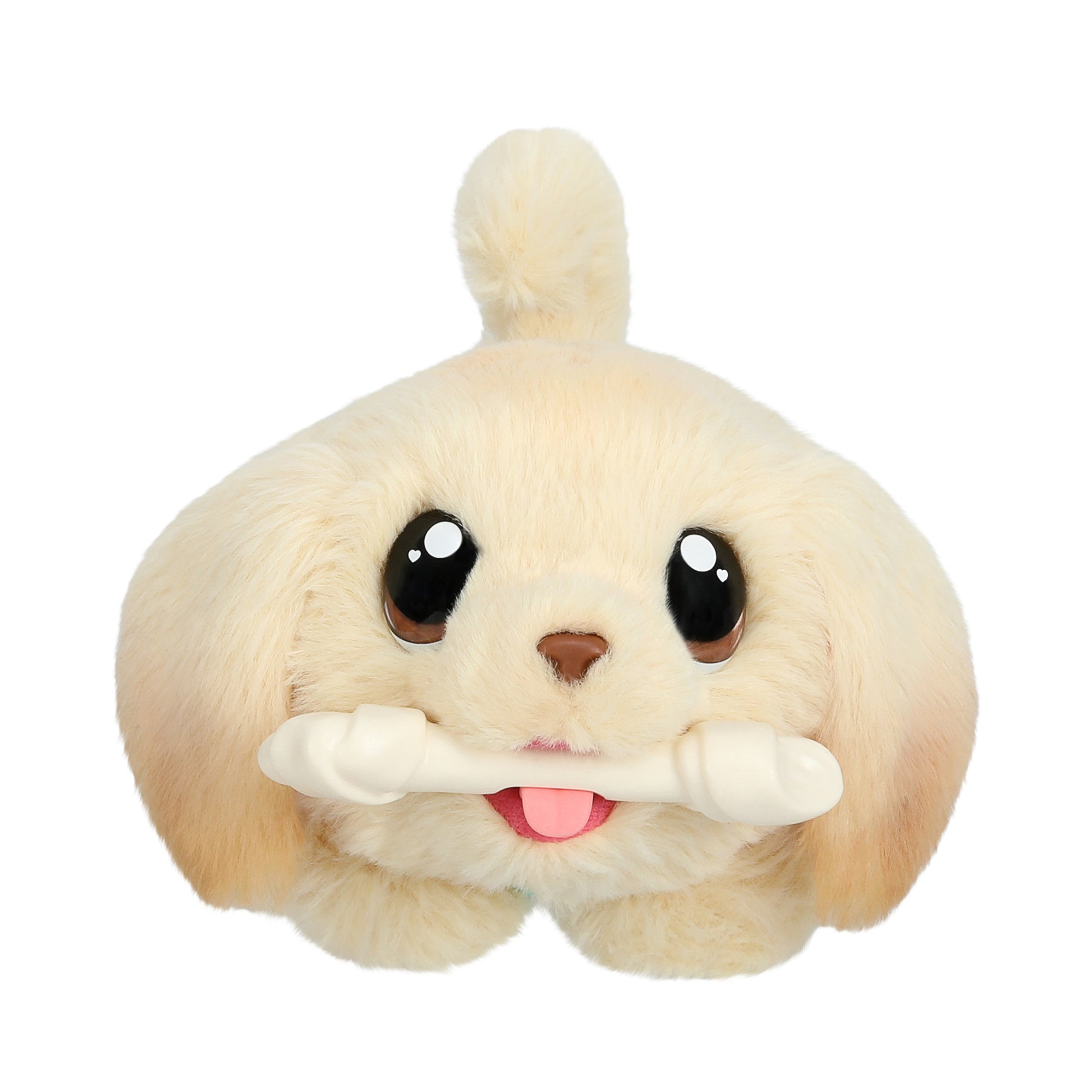 Plush toy dog with a white background