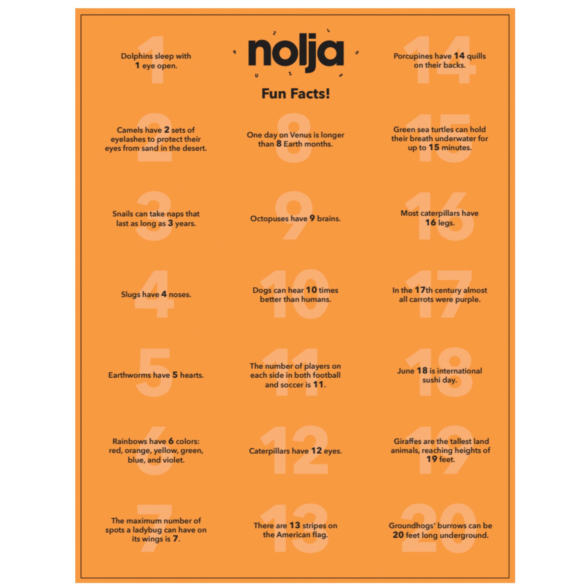 Nolja Easy As 1,2,3 36pc Jigsaw Puzzle