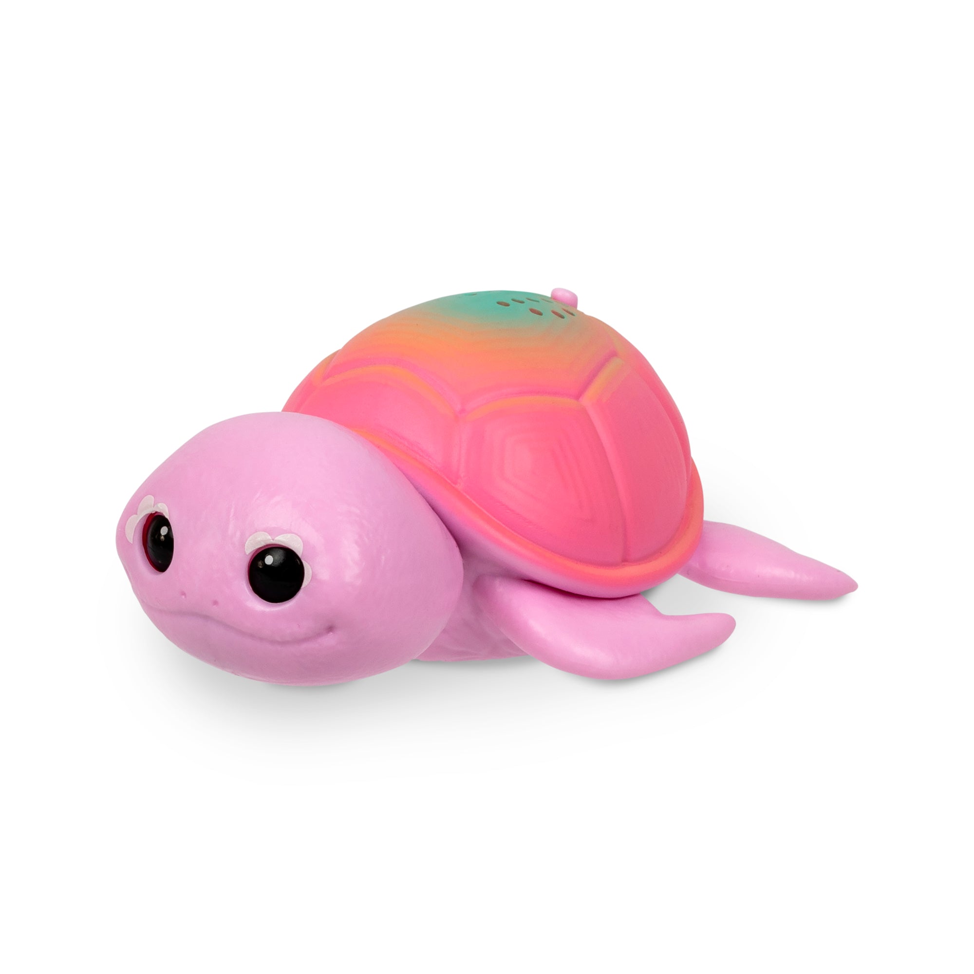 Little Live Pets NeeDees "Sandee Turle"
