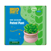 The Which Craft Kiwi Succulent Potted Plant kit by Which Craft comes in a green and blue box showing a faux green succulent in a pink pot. Designed for ages 8+, this beginner kit includes a small parts warning.
