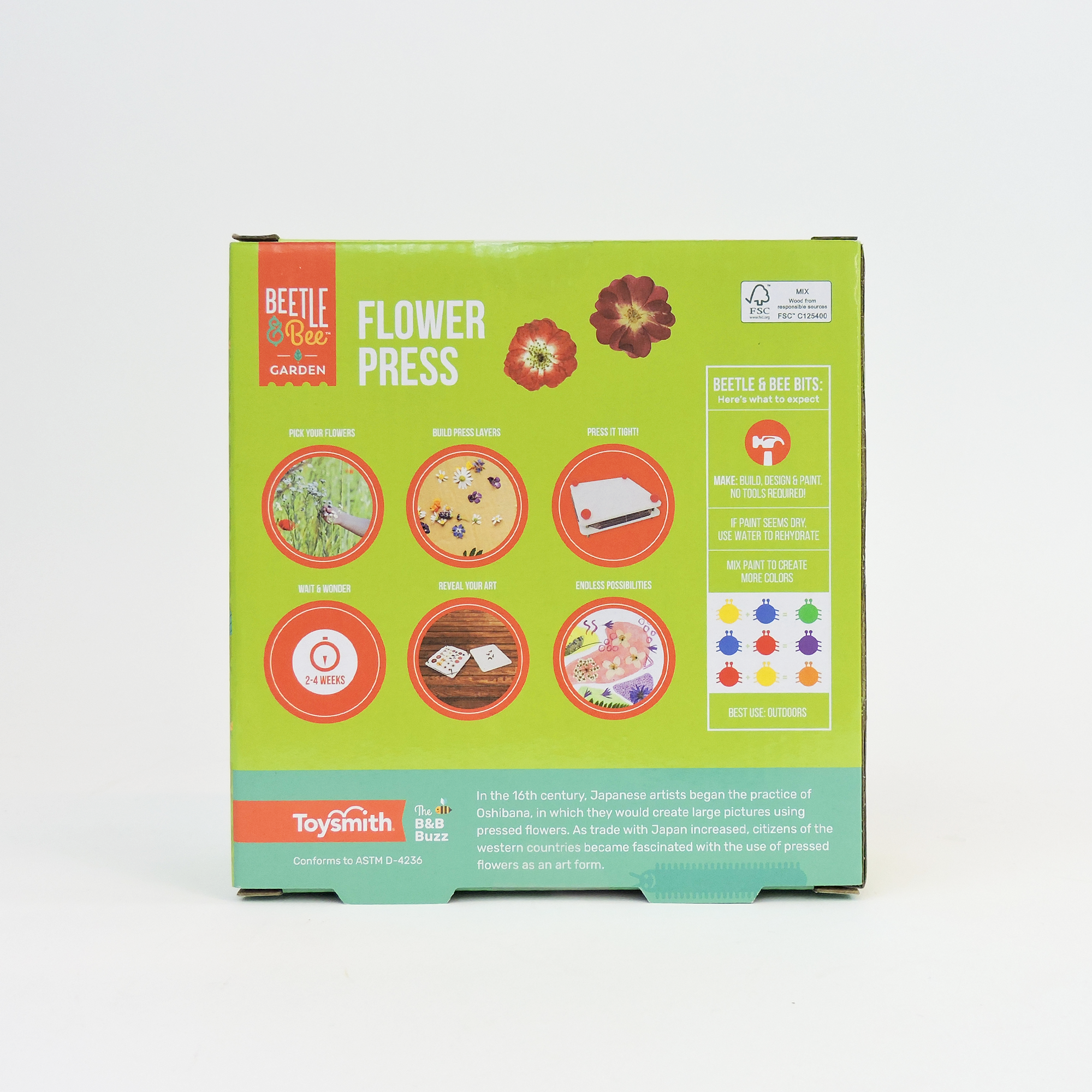The back of a Beetle & Bee Garden Paint a Flower Press box features colorful images and instructions on a green background, showing kids how to use the press to preserve flowers for craft projects.