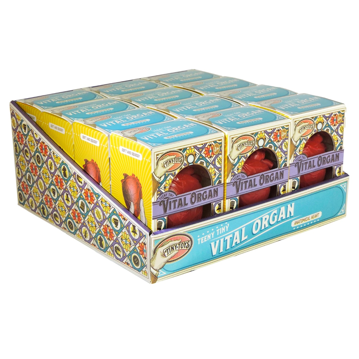 A display box holds several Teeny Tiny Vital Organ packages, each with an anatomically correct heart illustration and vibrant designs—ideal as a unique, stress-relieving organ-shaped fidget toy.