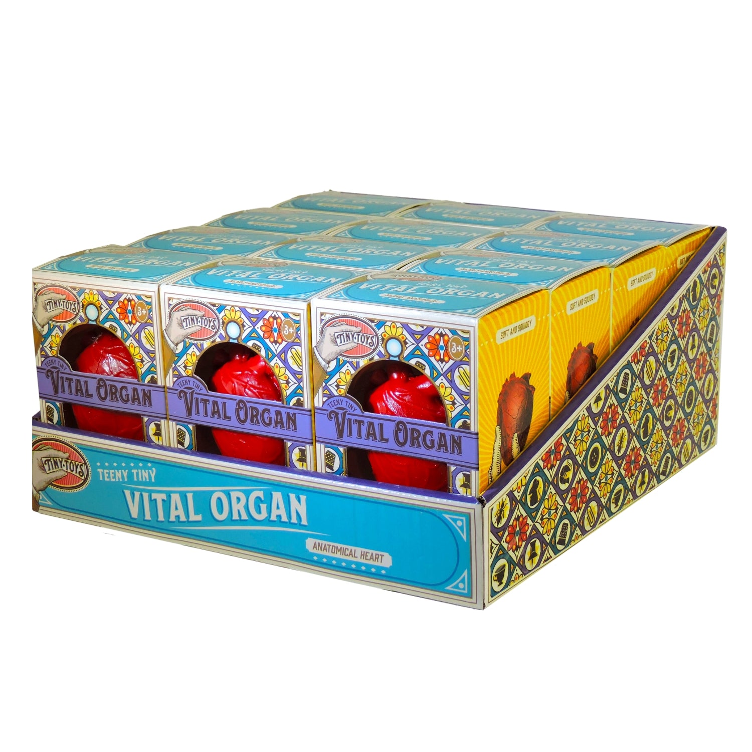 A display box contains several Teeny Tiny Vital Organ packages, each with a realistic heart model fidget toy inside. The vibrant, patterned packaging highlights this unique stress-relief product.