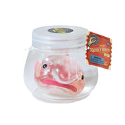 Toy fish in a jar with a label on a white background