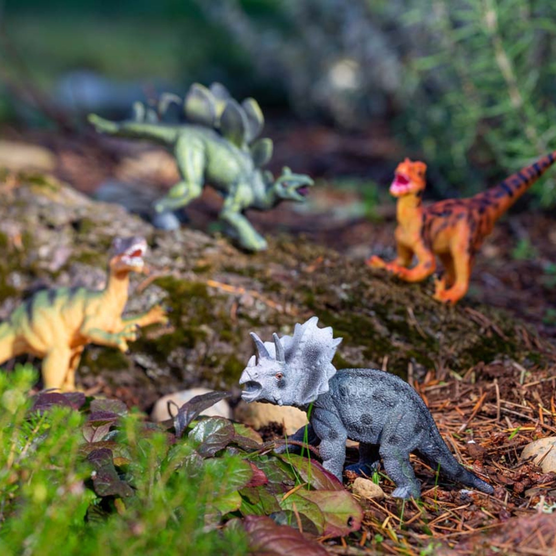 Four Toysmith Classic Dinosaur Figures by Toysmith, including a gray triceratops in front and three others behind, are displayed outdoors on grass and soil among plants and a log.