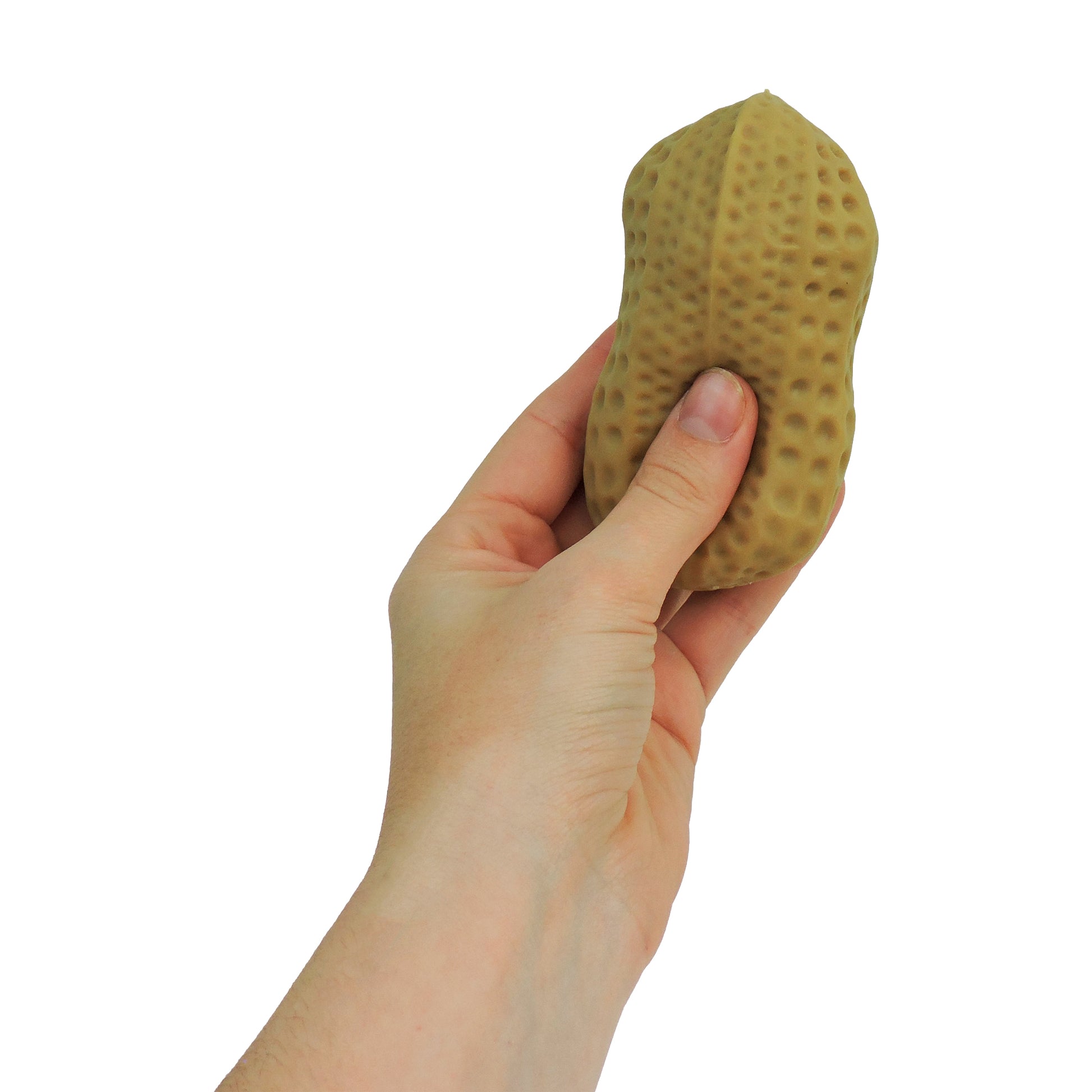 A hand holds the Toysmith Crunchy Nuts, a squishy tactile toy from Toysmith shaped like a peanut, isolated on a white background.