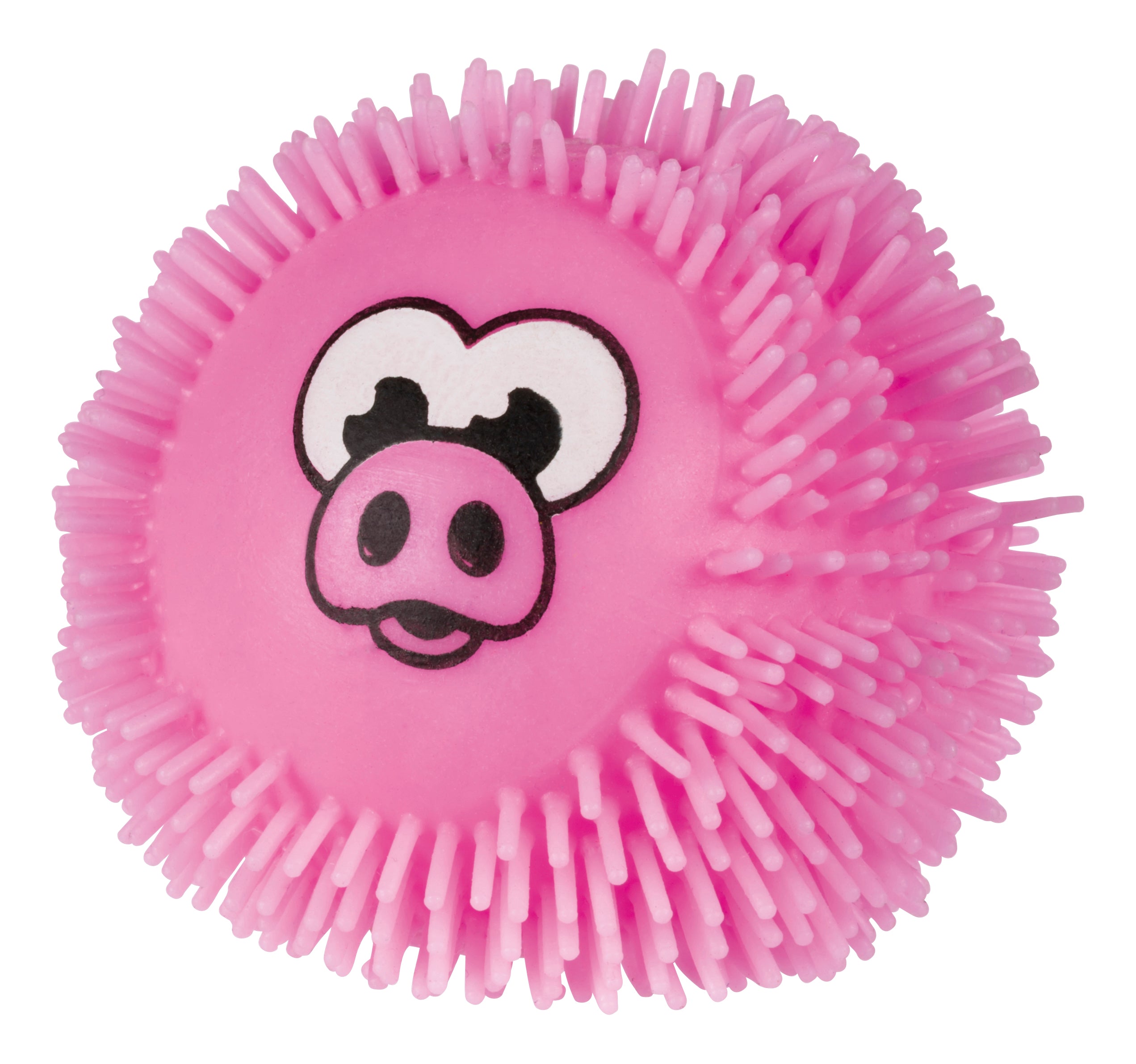 Farm Fresh When Pigs Fly