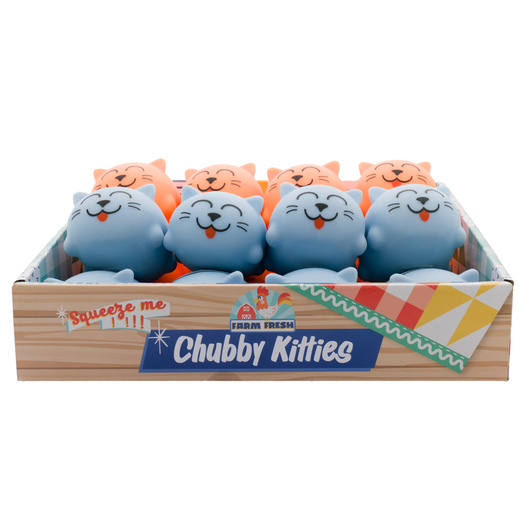The Farm Fresh Toysmith Chubby Kitties box holds rows of blue and orange squishy kitten toys with smiling faces, neatly arranged for stress relief and fidgeting fun.
