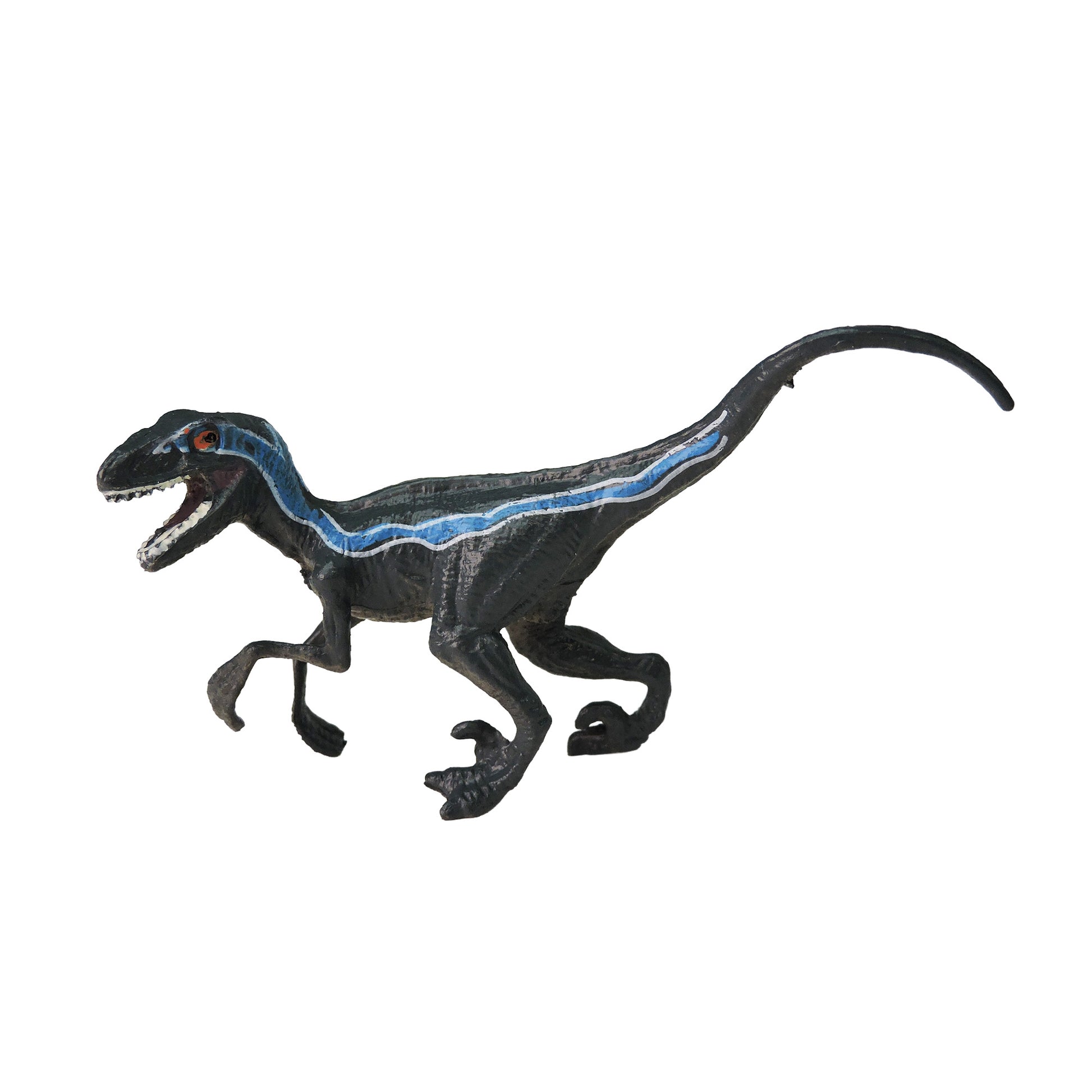The Toysmith Mini Dinos by Toysmith is a dark blue plastic Velociraptor toy with a light blue stripe from head to tail, mouth open, and posed as if walking or running.