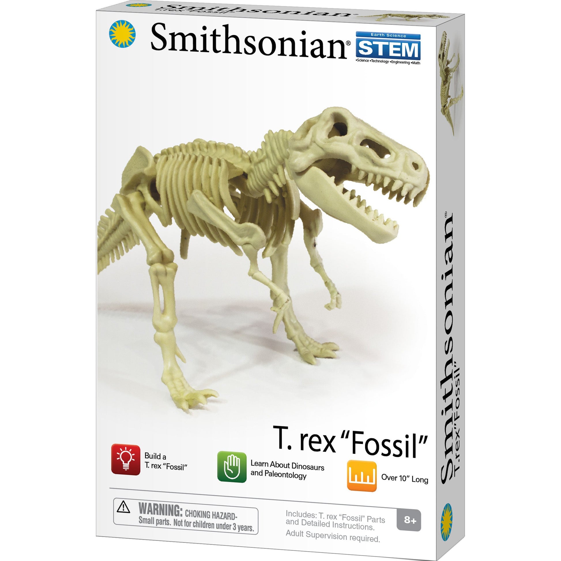 Smithsonian Dinosaur Fossils T-rex Value Set