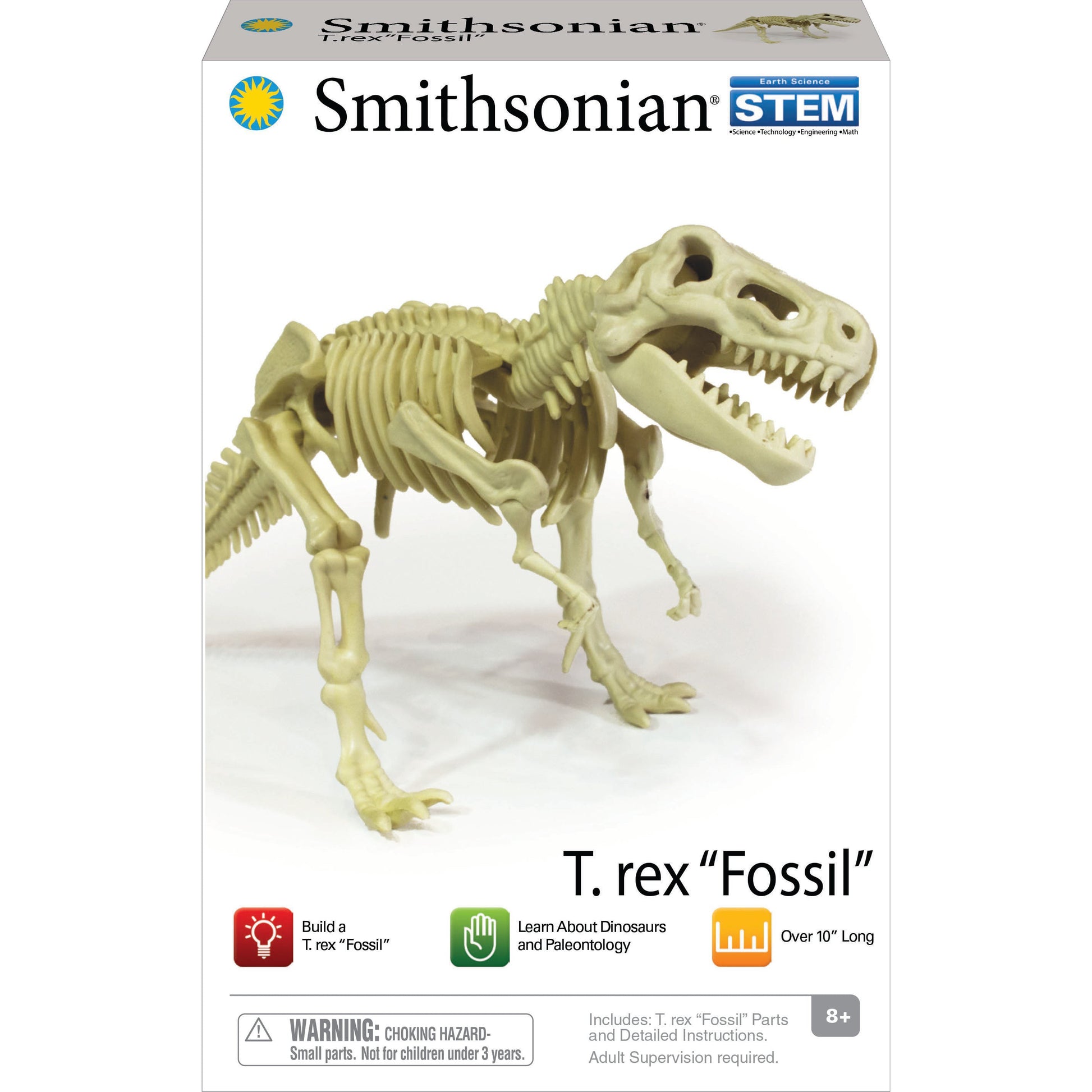 Smithsonian Dinosaur Fossils T-rex Value Set