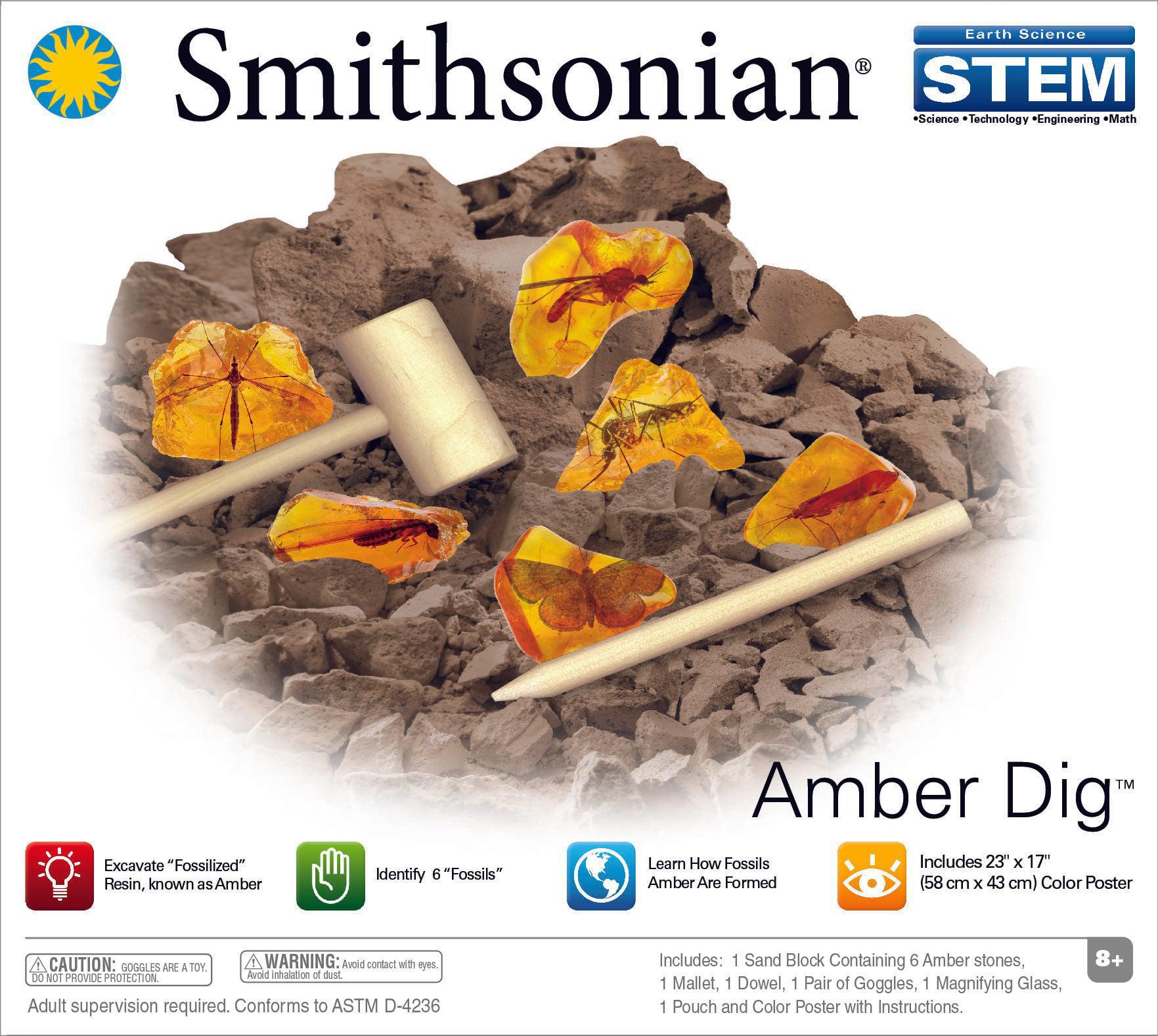 Smithsonian Amber Dig