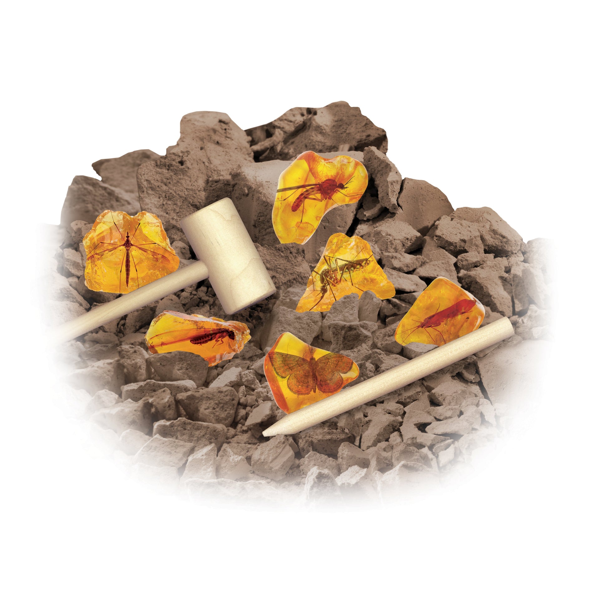 Smithsonian Amber Dig