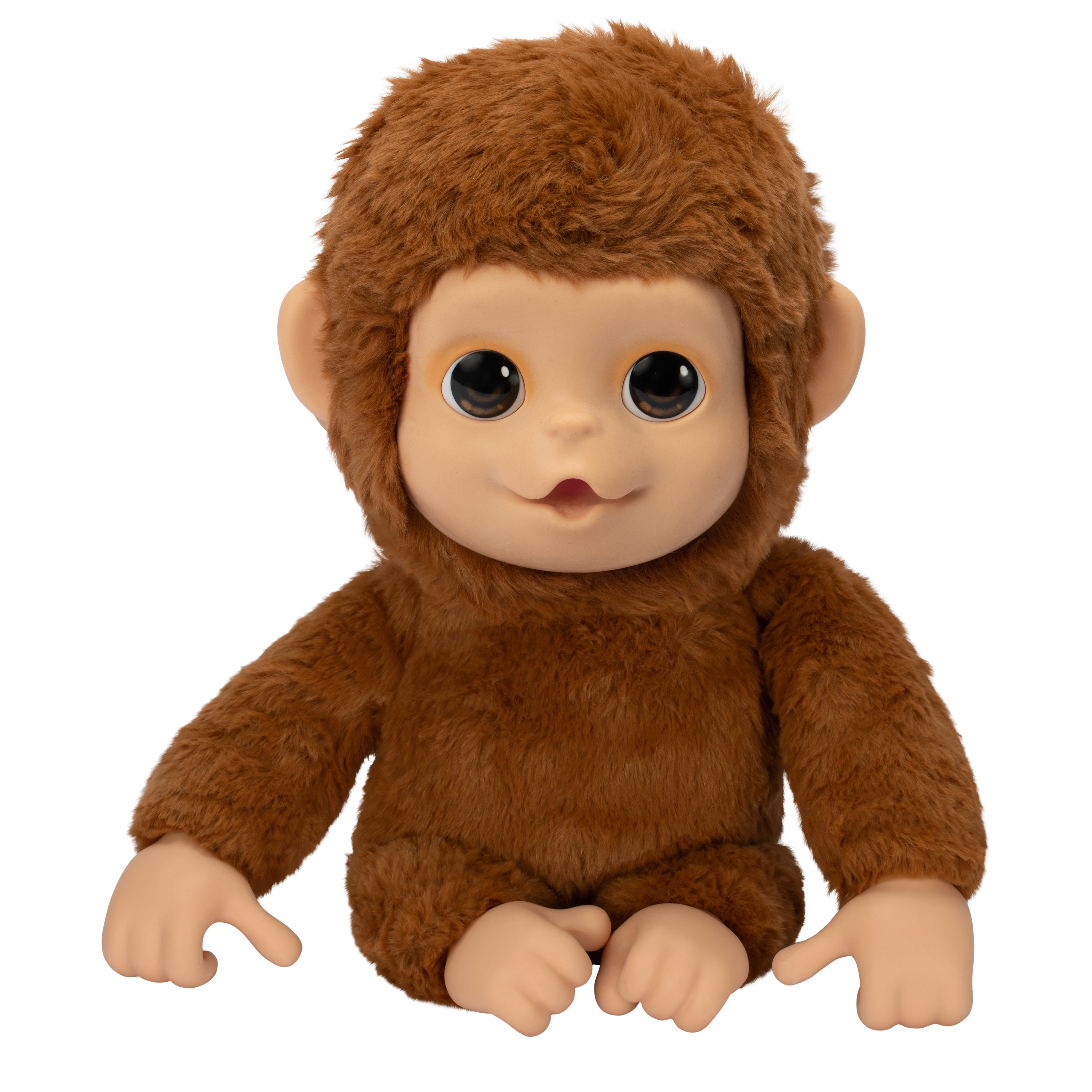 Brown plush monkey toy on a white background