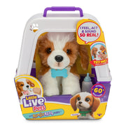 Toy puppy in a carrier with 'Little Live Pets' branding on a white background