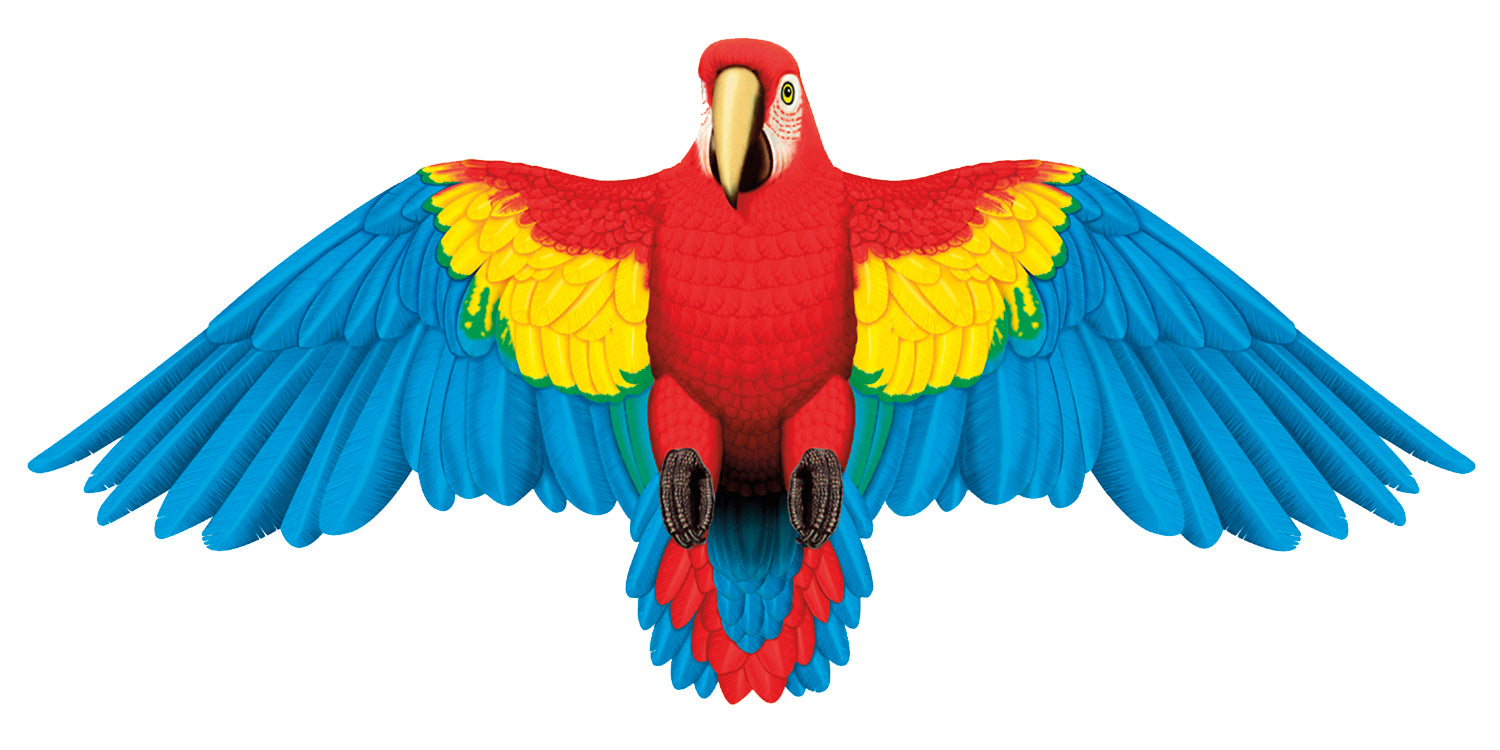 A vibrant scarlet macaw with red, blue, and yellow feathers and lifelike flapping wings—set against white—makes the perfect inspiration for Gayla Flapper Kites or a playful beach kite design.