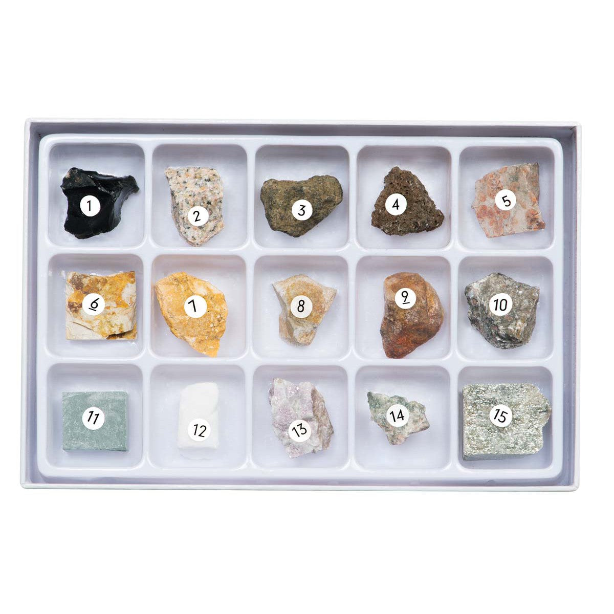 The Toy Science Rock Science Kit by Toy Science features a white tray with 15 labeled compartments, each containing a unique rock sample varying in color, shape, and texture. The set is perfect for geology kits or rock science experiments. Top-down view.