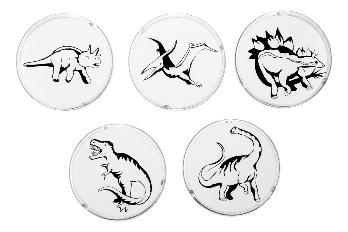 Five clear round coasters, each with a black dinosaur illustration, are arranged in two rows on a white background, resembling image disks for the Toysmith Mini LED Flashlight Projector by Toysmith.