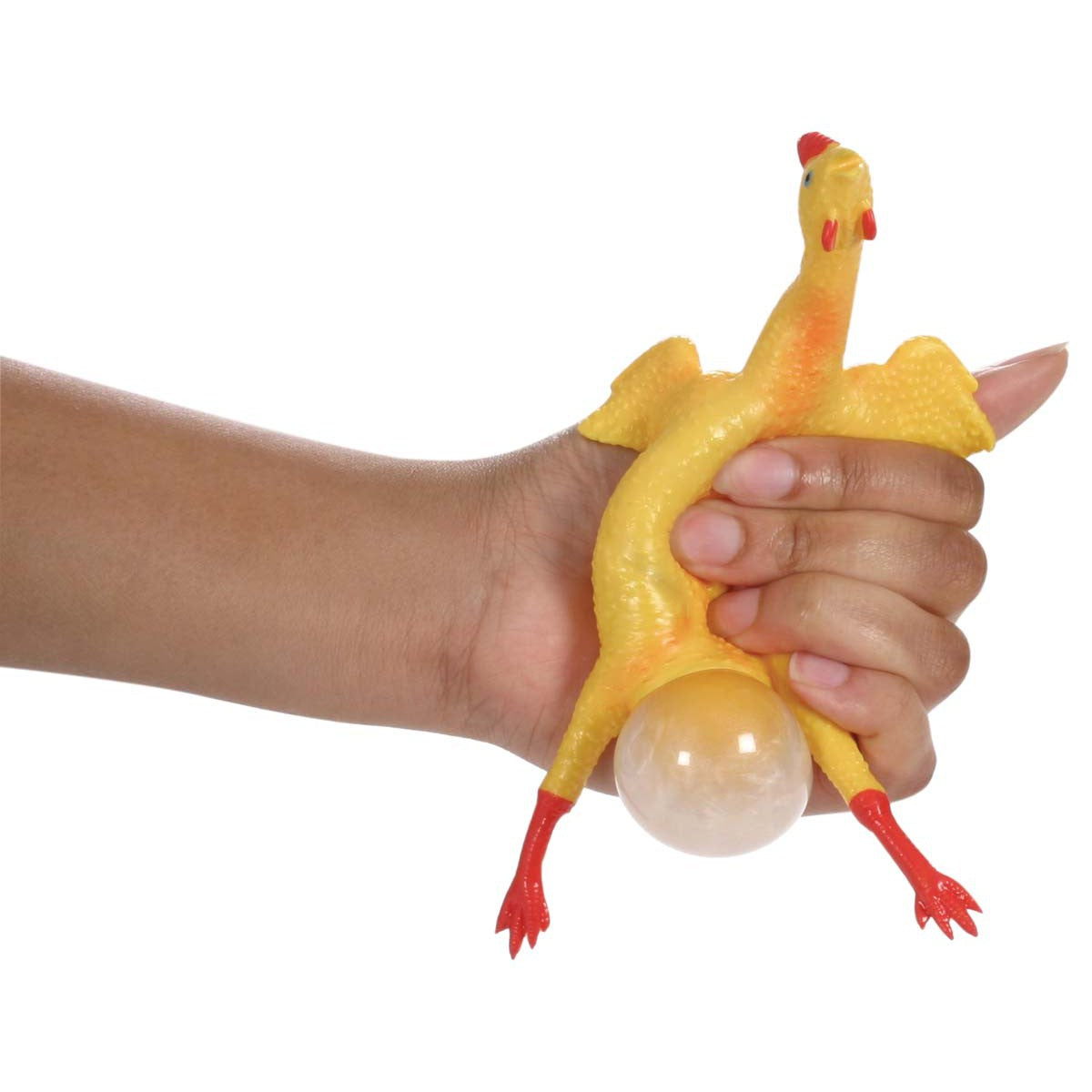 Farm Fresh Chicken & Egg