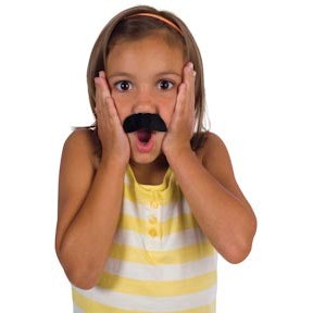 Toysmith Fake Moustaches