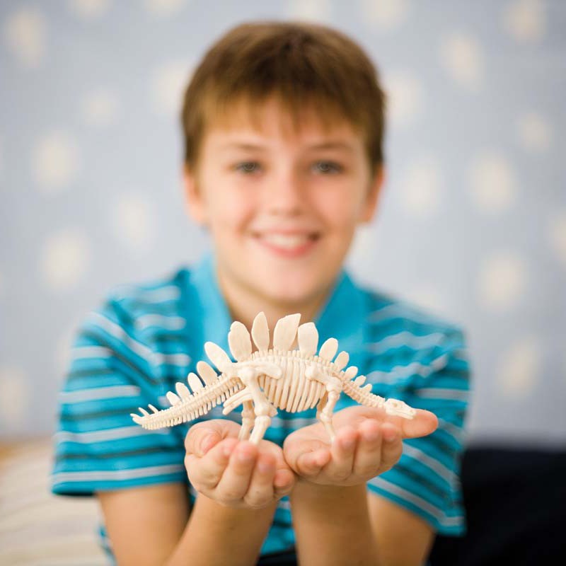 4M-Kidz Labs Dig A Dino Series I