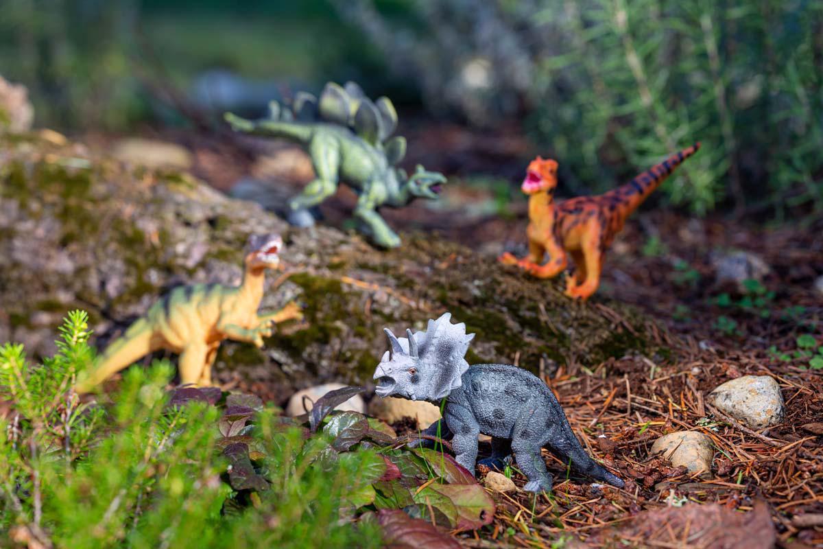 Four Toysmith Classic Dinosaurs, including a triceratops and stegosaurus, are arranged outdoors on a forest floor among leaves, pine needles, rocks, and greenery, inviting imaginative prehistoric play.