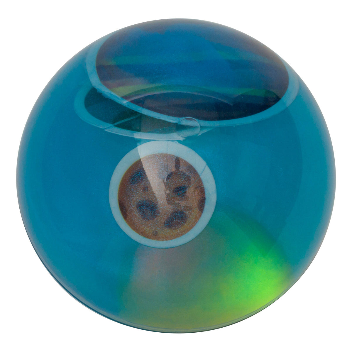 The Toysmith Light Up Galaxy Balls are translucent blue bouncy balls with a small, round object featuring a paw print inside—perfect for kids’ active play and glowing fun.