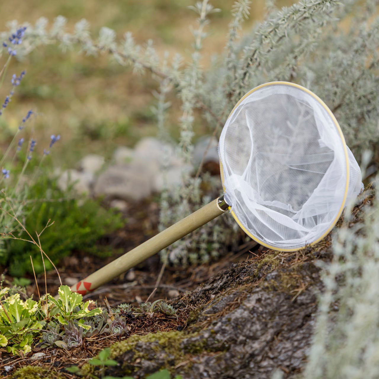 Beetle & Bee Garden Butterfly Net