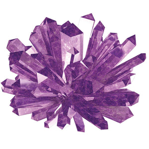 Toysmith Crystal Growing Box Kits