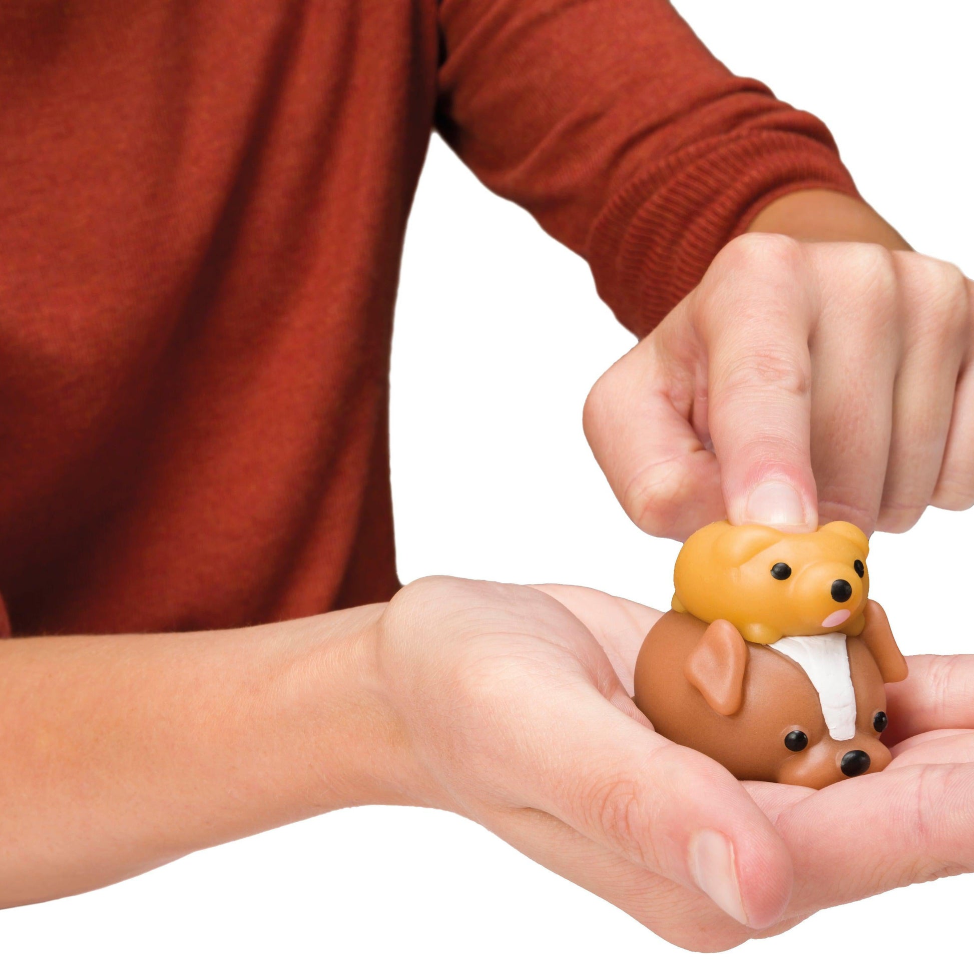 Kiji Buddies Puppies