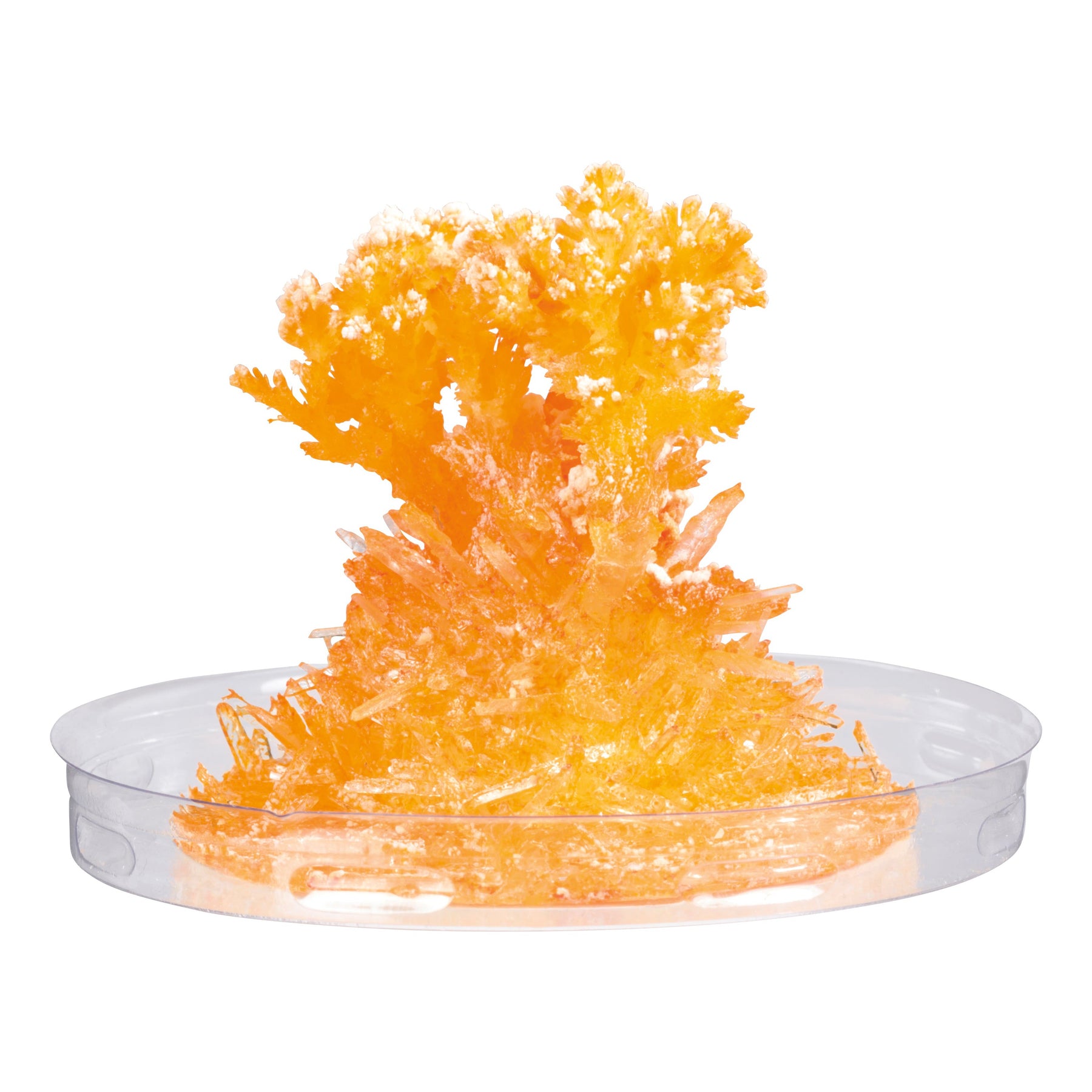 Toy Science Growing Crystals