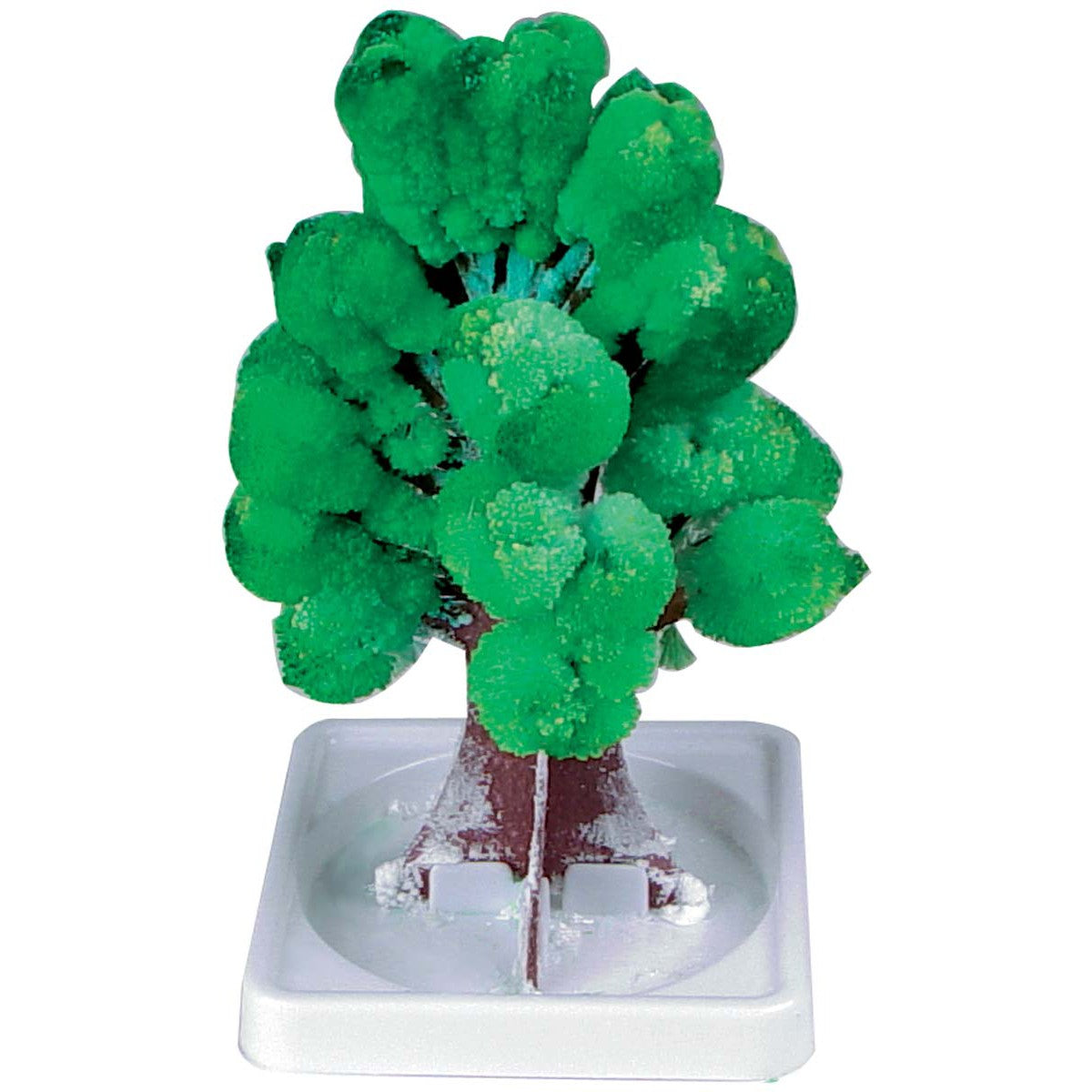 The Toy Science Mystical Tree by Toy Science features a brown trunk and bright green, fluffy foliage on a white square base, perfect as a fun science experiment or craft project.