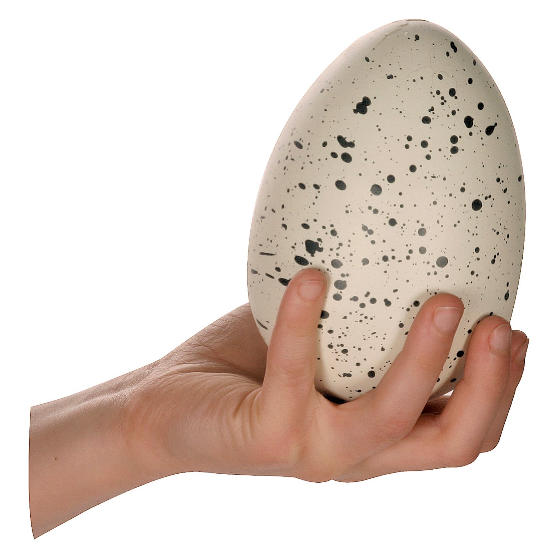 Toysmith Ginormous Hatchin' Grow Dino Egg