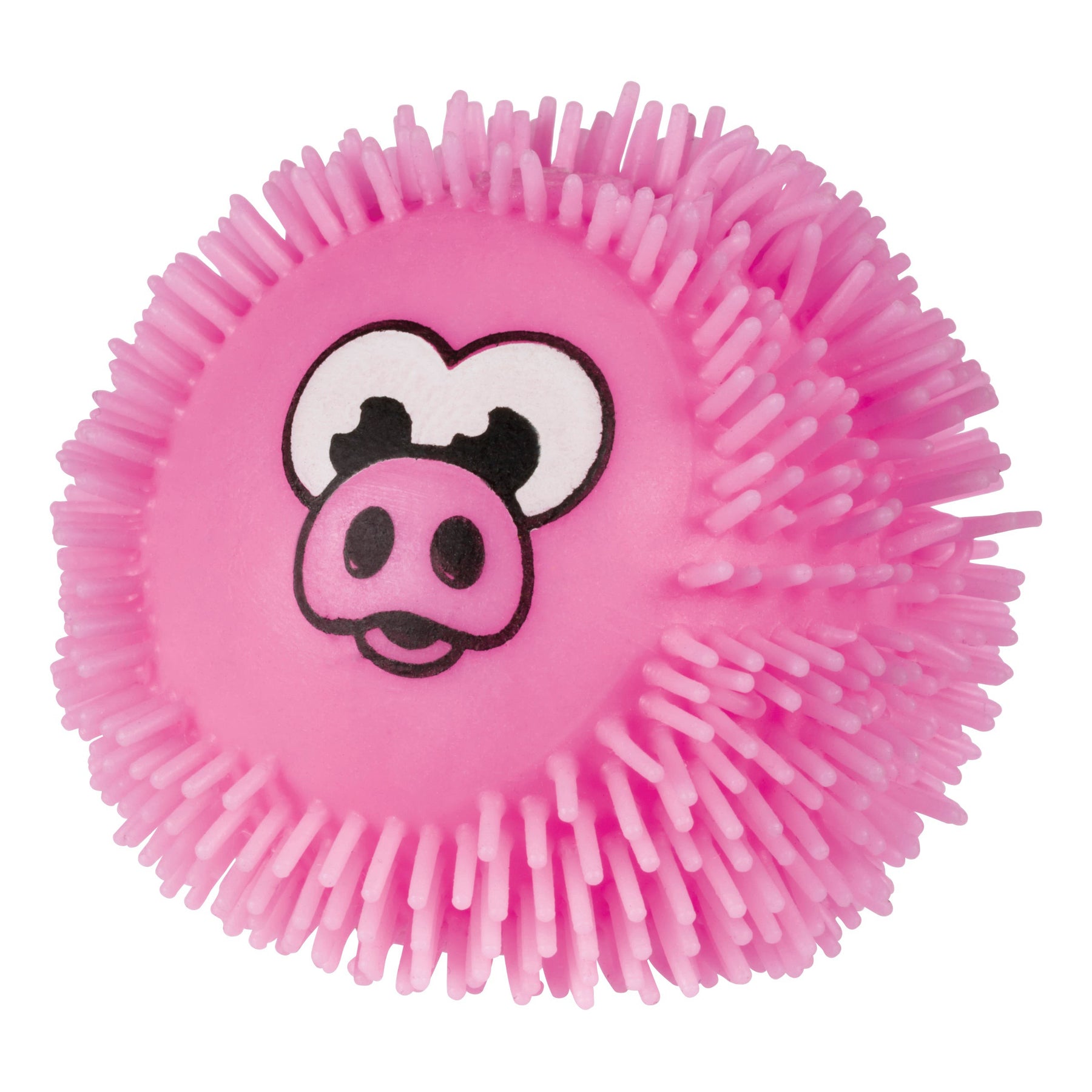 YAY! When Pigs Fly